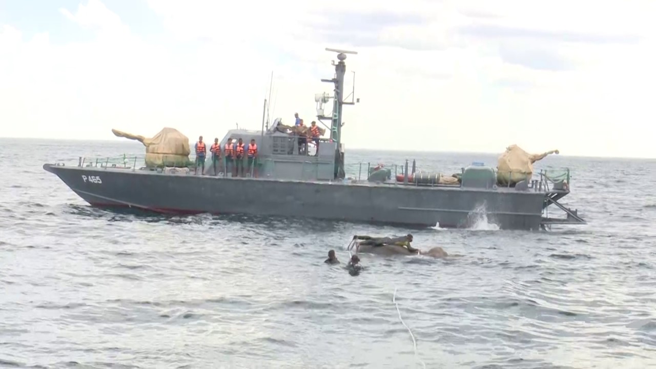 Navy saves &lsquo;Jumbo&rsquo; in dramatic rescue at sea
