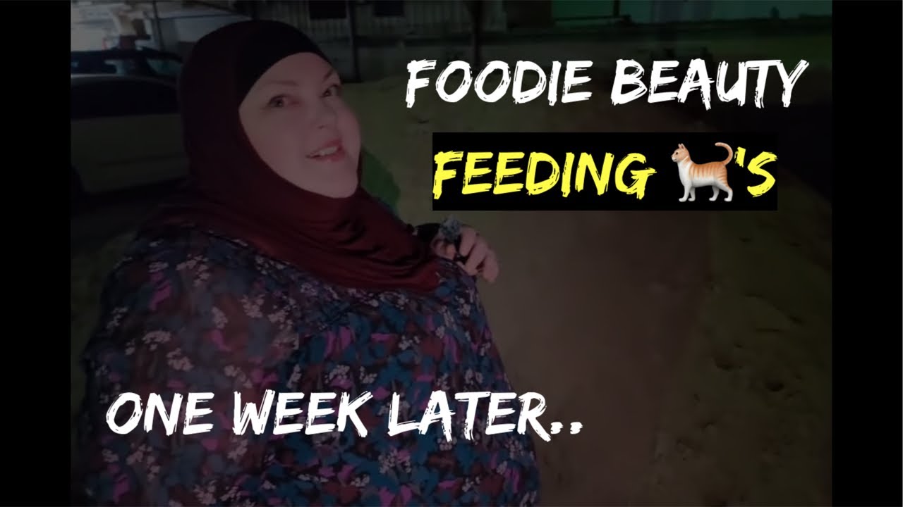 Foodie Beauty: Feeding Cats with the Roommate..