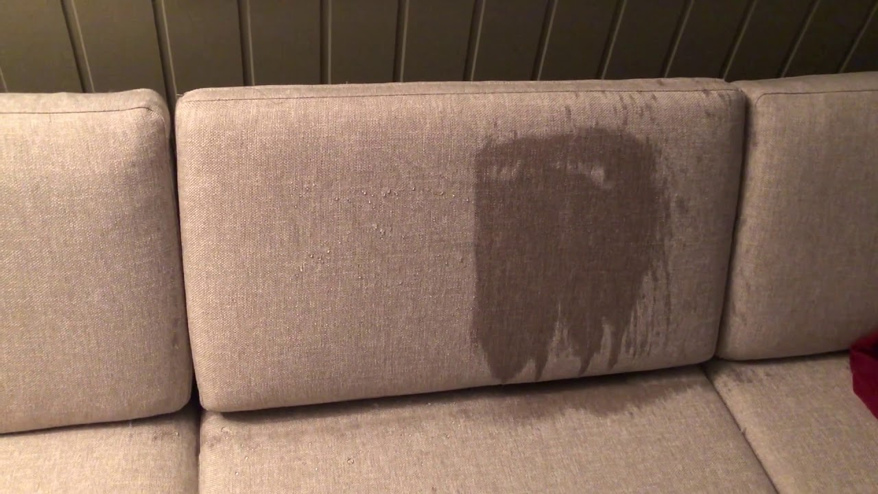 Nanoshower on Couch (Water Repellent Spray)
