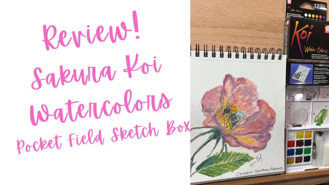 REVIEW! Sakura Koi Watercolors Pocket Field Sketchbox | 12 Colors