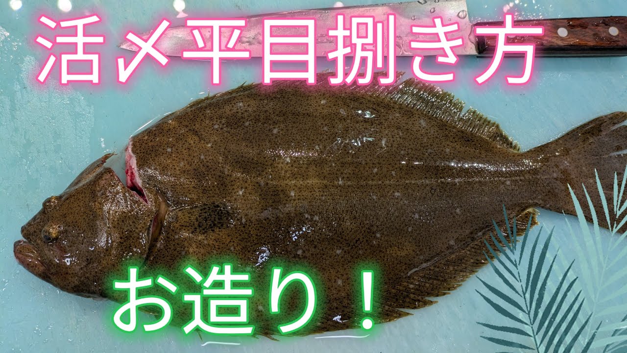 [魚の捌き方]平目お造り！