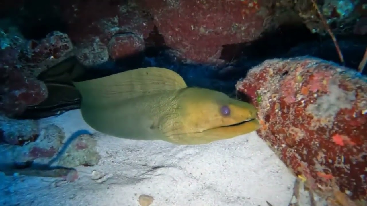 Cayo Largo Dec 21,2025