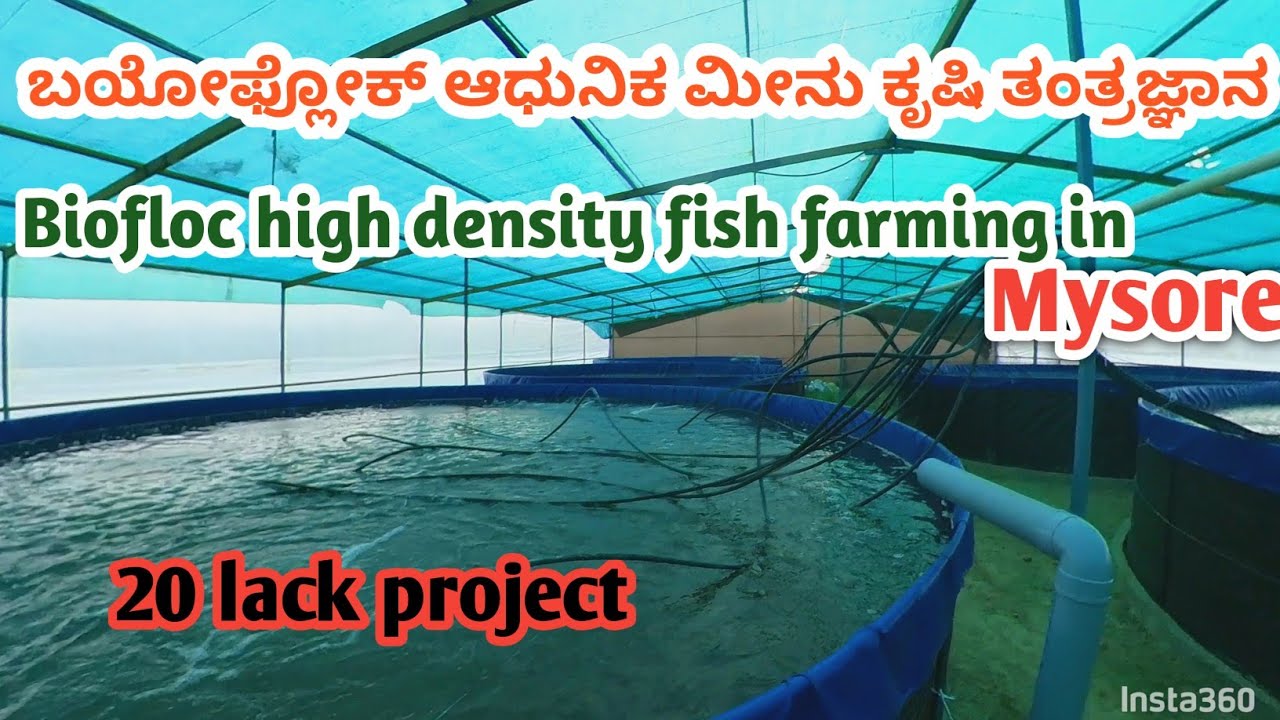 Biofloc Fish Technology in Karnataka Mysore / ಬಯೋಫ್ಲೋಕ್ ಹೈ ಸಾಂದ್ರತೆಯ ಮೀನು ಸಾಕಾಣಿಕೆ