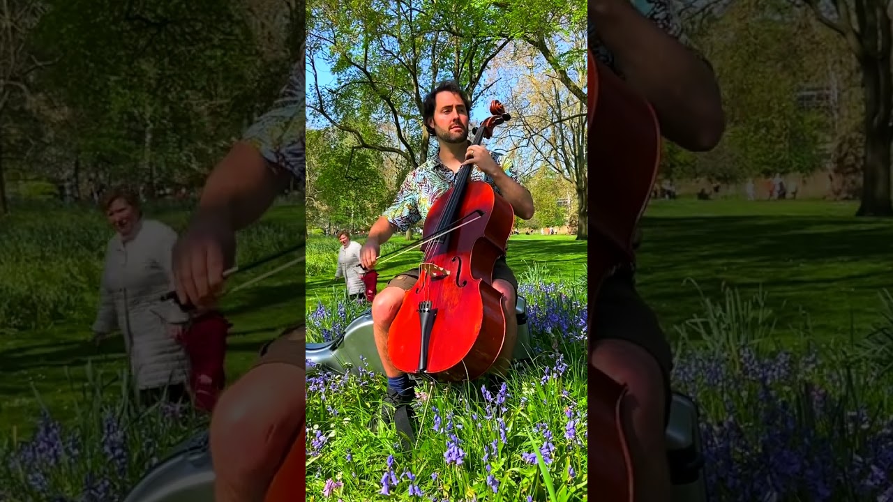 Patrick Dexter Live at St. James's Park, London