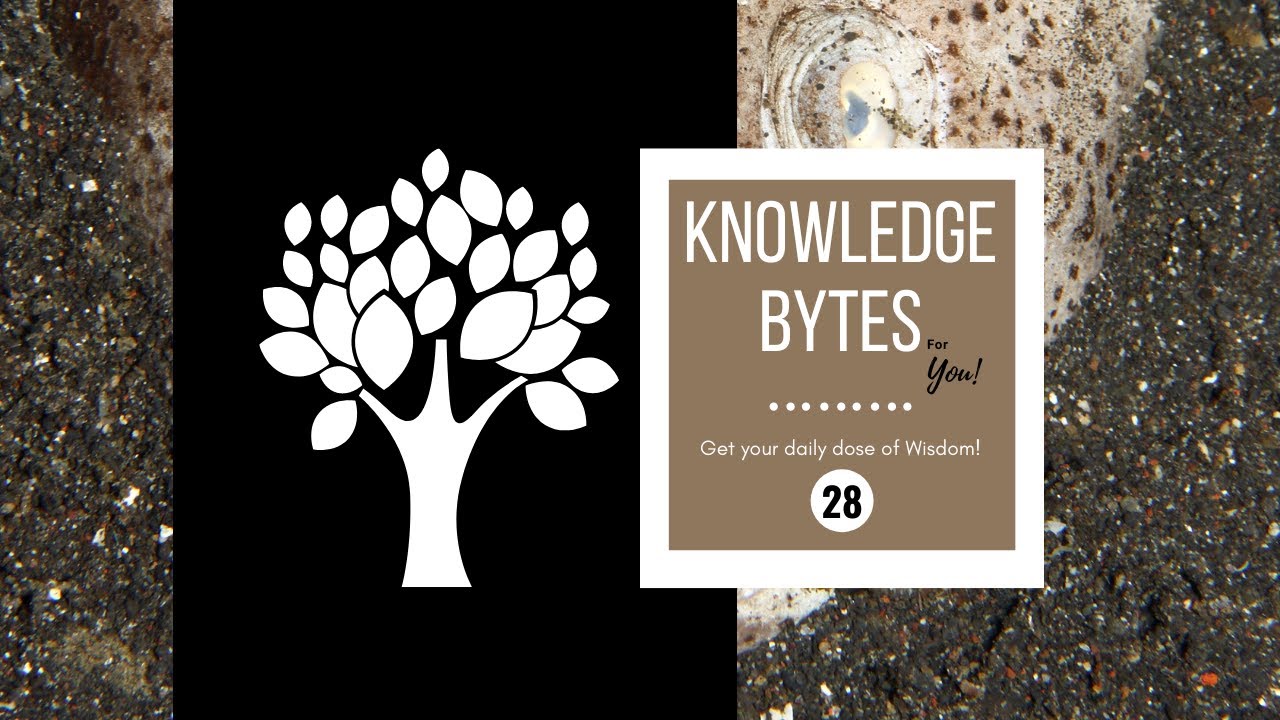 28. Knowledge Bytes - Amazing Facts