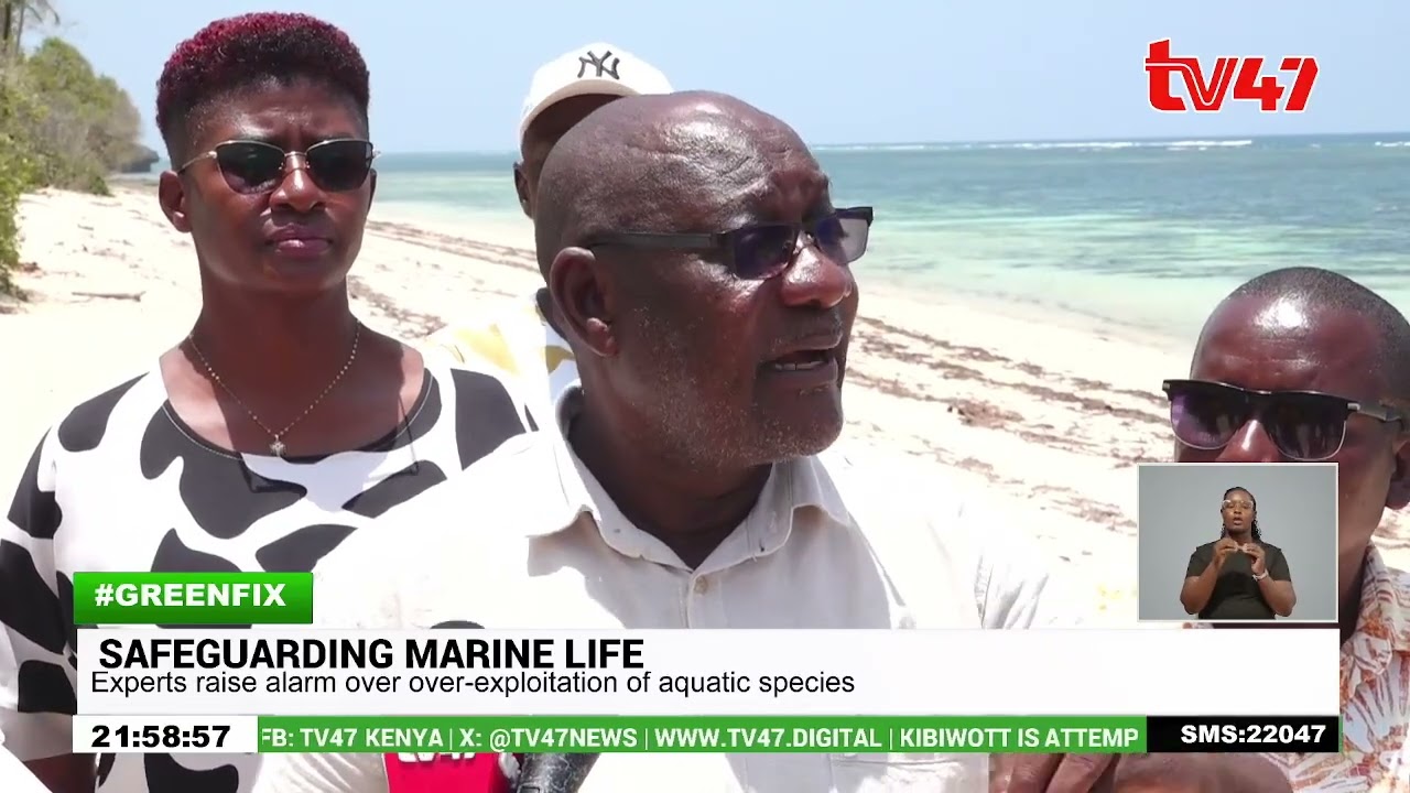 Communities in the coastal region are using indigenous methods to protect marine life