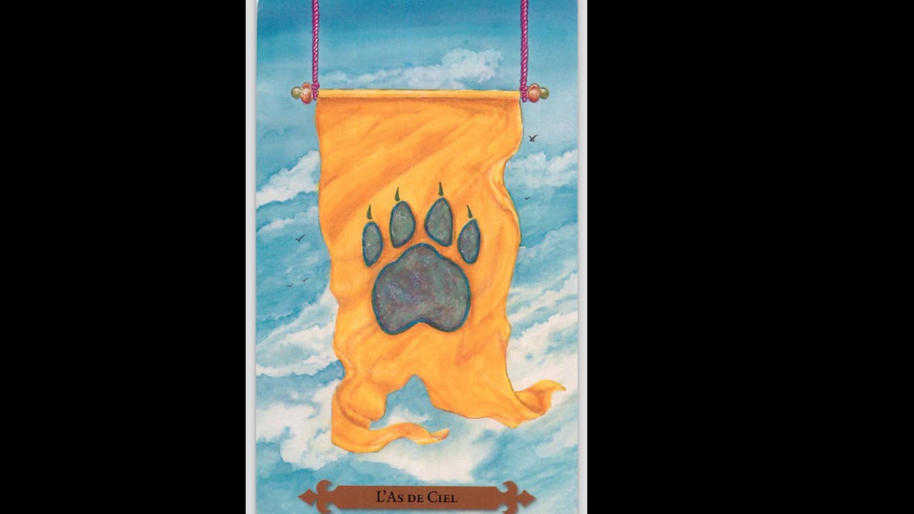 MYSTIQUE CAT TAROT FULL FLIP THROUGH
