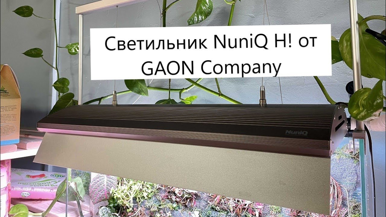 Обзор на светильник NuniQ H! от Gaon Company. Убийца ЧИХИРОС РГБ???