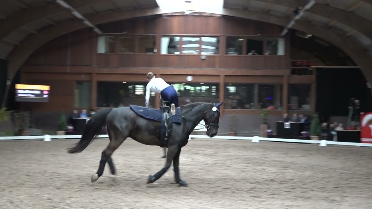 Wilma Baden Askbo freestyle