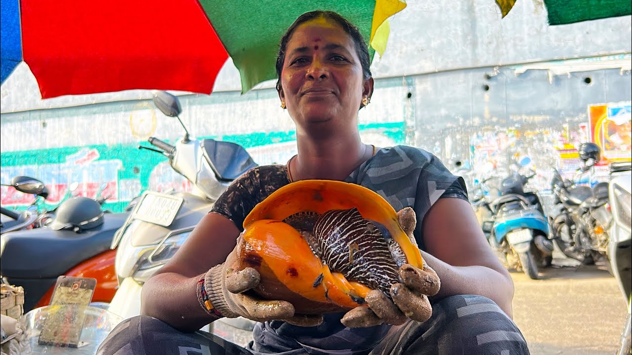 KASIMEDU GIRL BIG SEA CONCH BROKEN FISH CUTTING VIDEO 