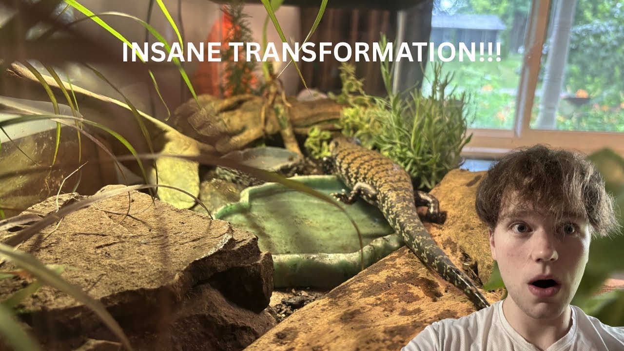 I Turned My Lizard's Tank Into a Rainforest for Under $25!