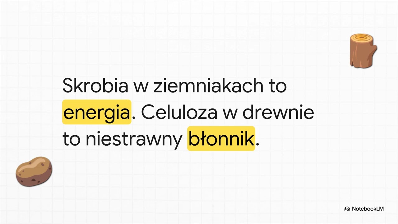 Budowa i Funkcje Węglowodanów