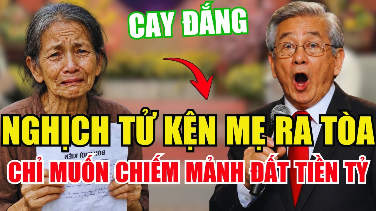 Mẹ Vừa Nhận Đền Bù Đất, Con Trai Lập Tức Kiện Mẹ Mất Trí Để Giành Tiền