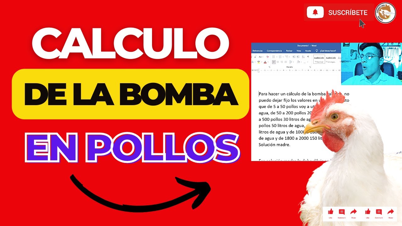 🏆LEVANTE RÁPIDAMENTE 5, 10, 50, 100, 1500 POLLOS DE ENGORDE CON ESTÁ FÓRMULA🤩CALCULANDO LA BOMBA💰