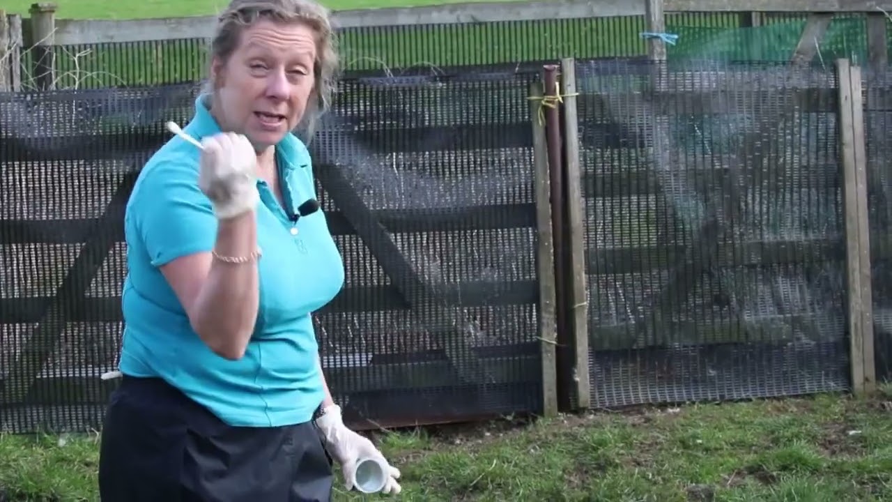 Taking faecal egg count samples correctly