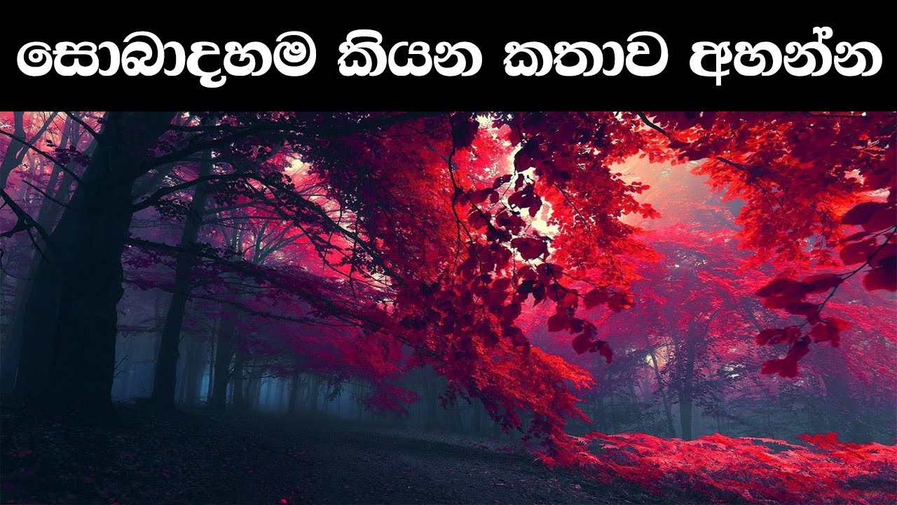 සොබාදහම ඔබ අමතයි - Nature is speaking