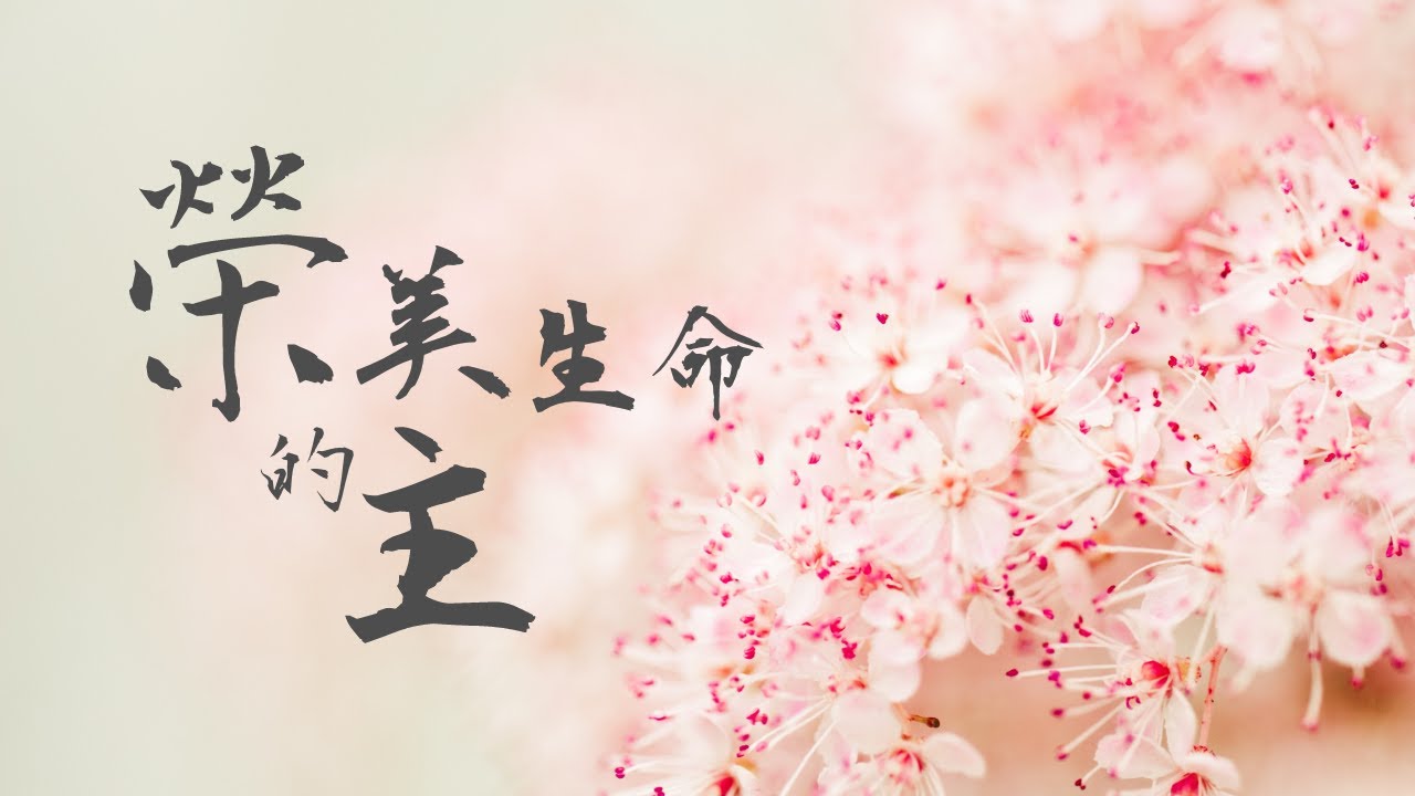 【 榮美生命的主 】中文詩歌MV －（余光昭）香港神的教會