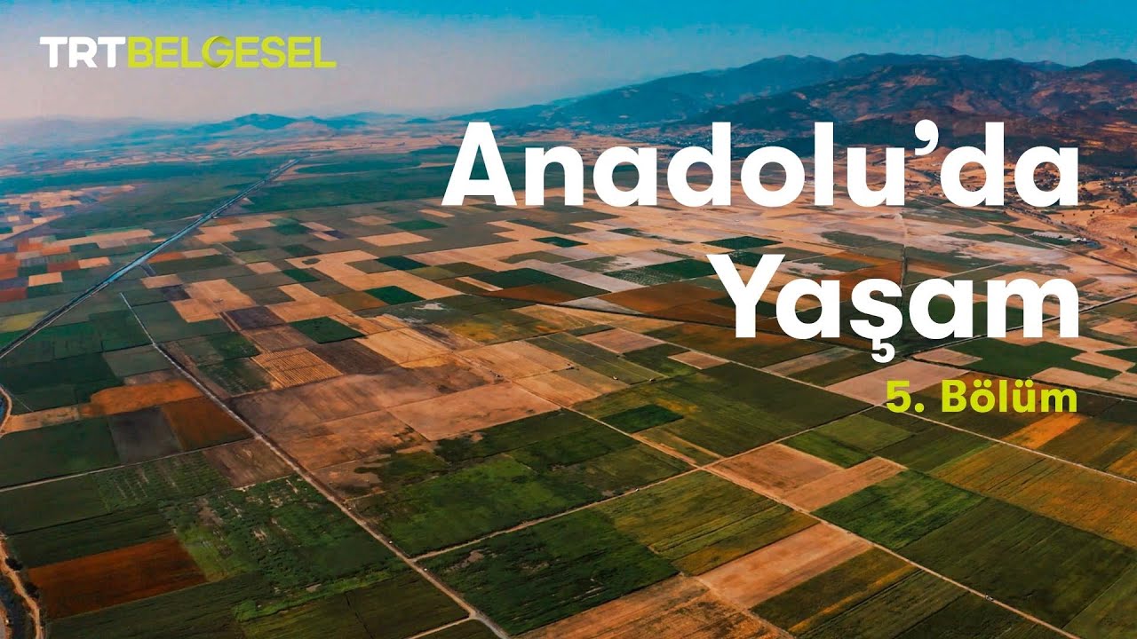 Anadolu'da Yaşam | Ova | TRT Belgesel