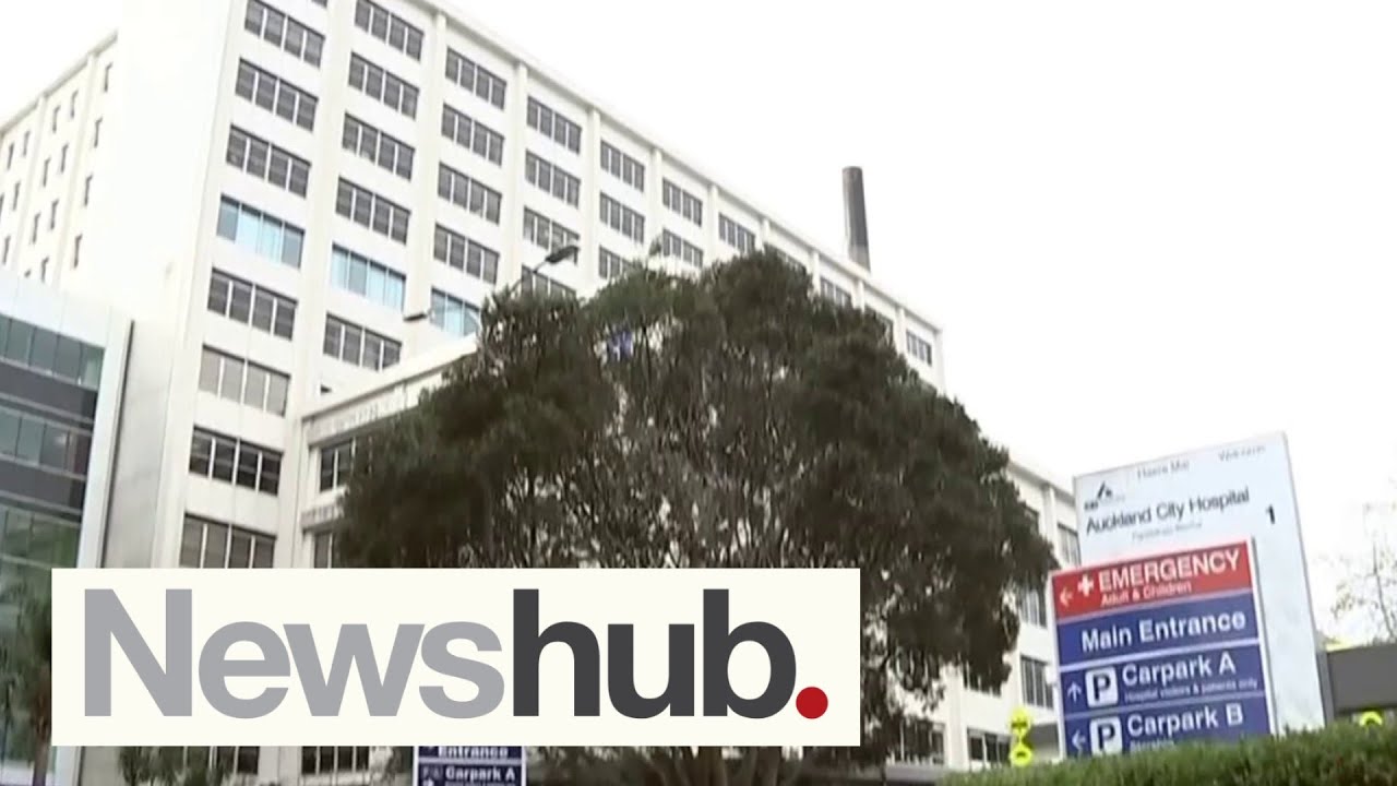 Auckland City Hospital warns mums may be discharged 3-4 hours after giving birth  | Newshub