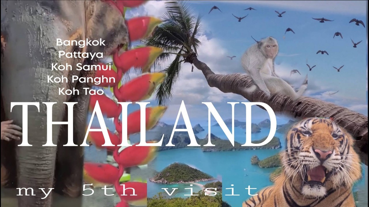 Video no 12 :♥ THAILAND ♥2025 the full tour!!🏝️ 🏝️ 🏝️🌊 תאילנד מסכם בנגקוק קוסמוי קופנגן פטאיה למפורי