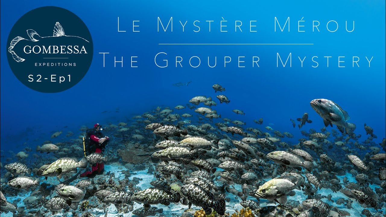 Gombessa II - Mystère Mérou - Ep01
