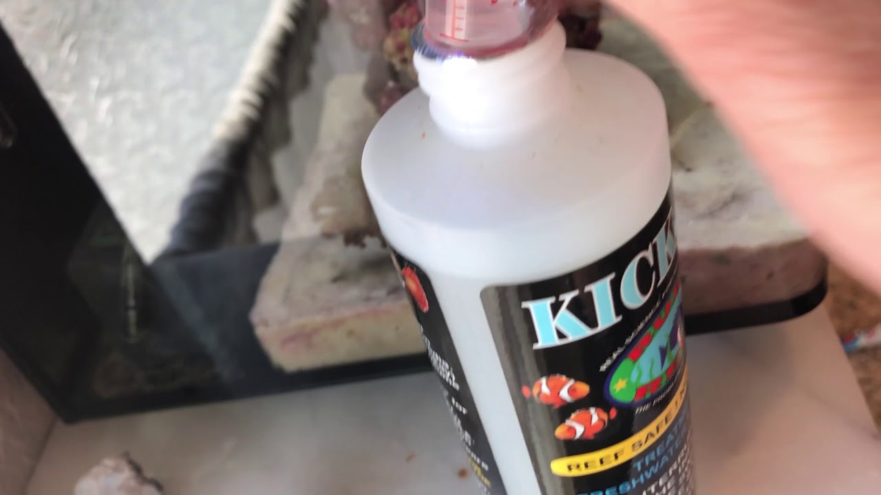 Update On Kick Ich (Day 4)