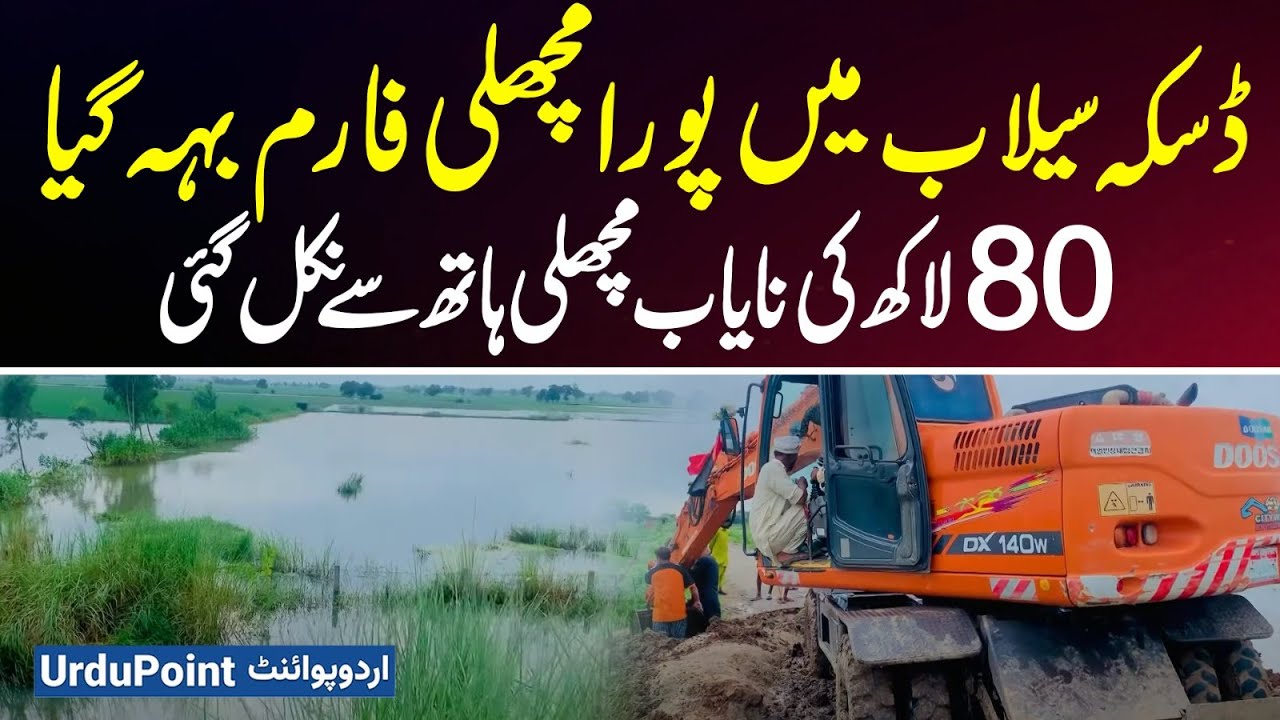 Flood In Daska - Fish Farm Washed Away By Flood: Rs 8 Million Fish Stock Vanishes Overnight