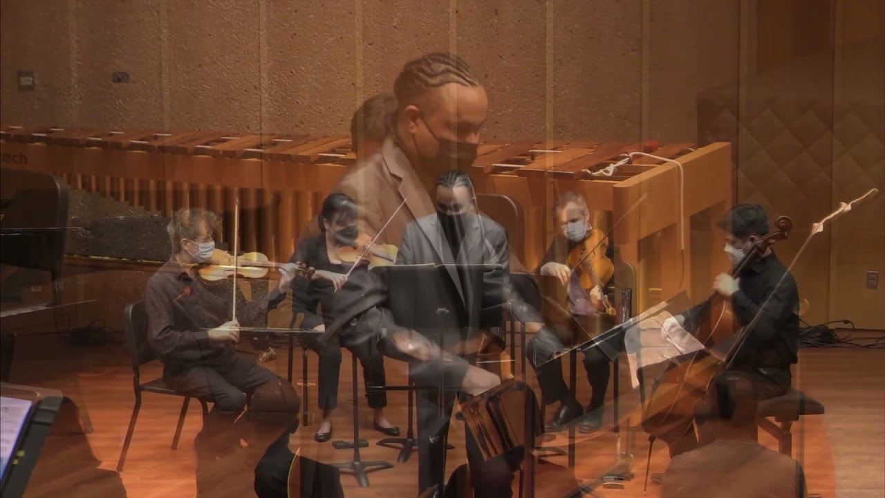 Concerto for steelpan( with String Quartet)