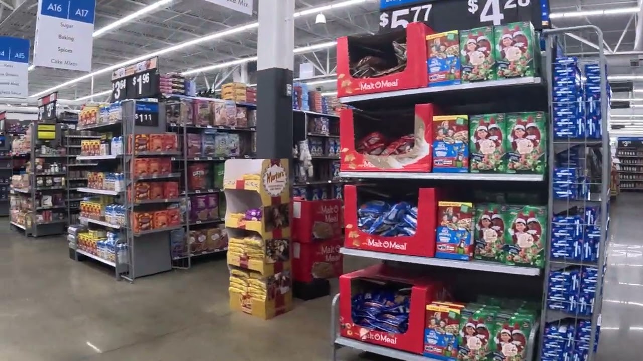 😂 Seaford DE Walmart Adventure! | Full Video 11/21/25