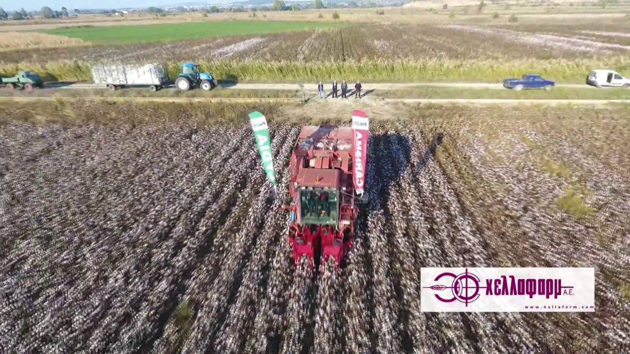 Cotton Harvest 2017Feres Evros Greece
