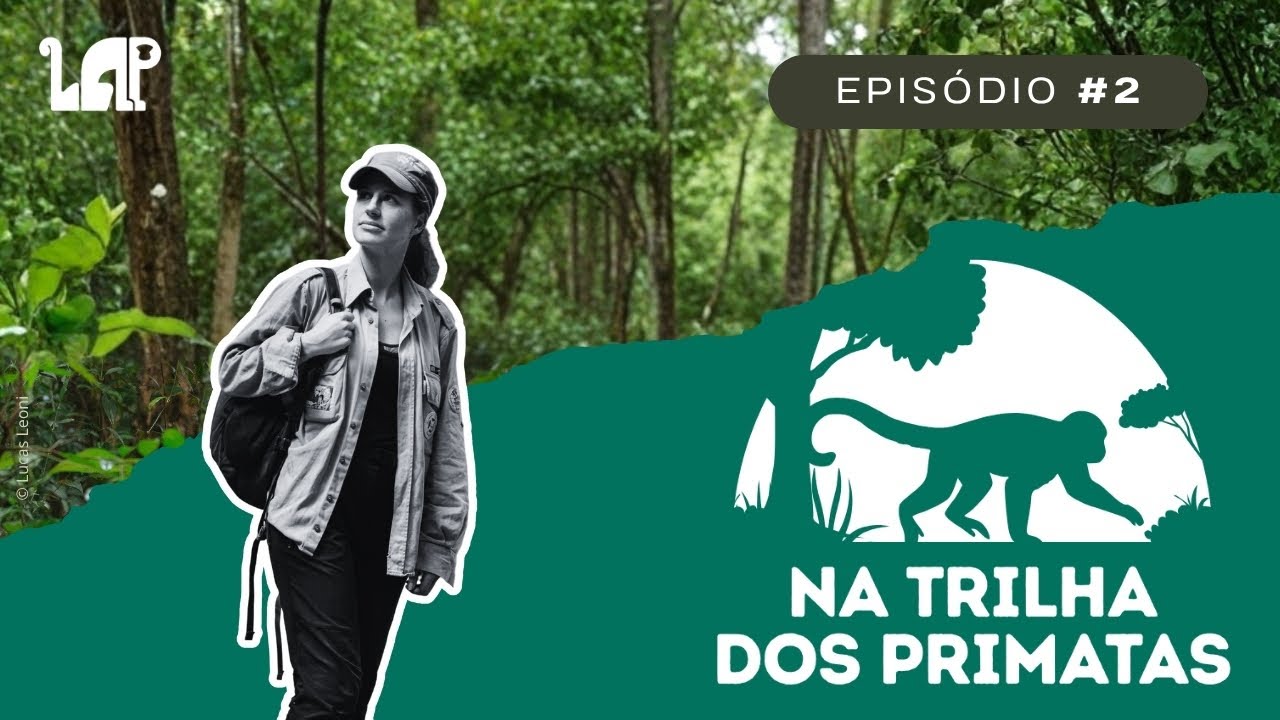 Na Trilha dos Primatas: Episódio #2 - 