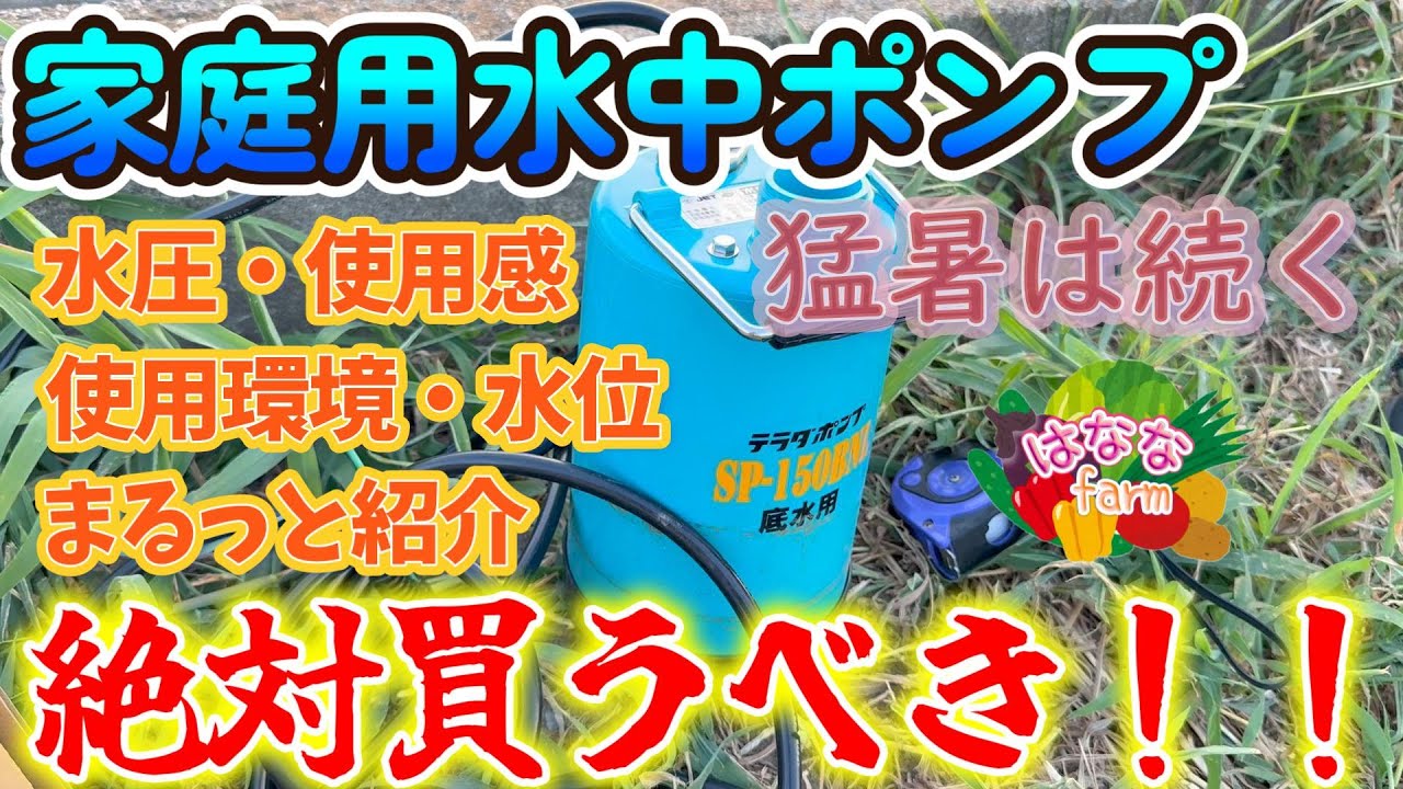 【猛暑の水やり】家庭用水中ポンプ購入検討してる人は絶対見て下さい！【安い】【家庭用水中ポンプ】