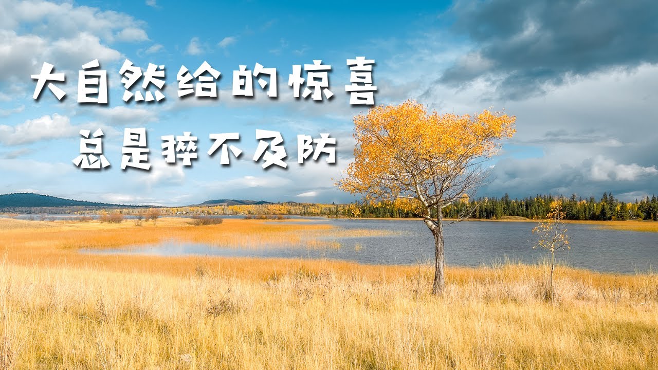 溫哥華一路向北，秋季攝影旅行小眾路線推薦 - 彩虹，銀河，瀑布，還有暴雪中划船？