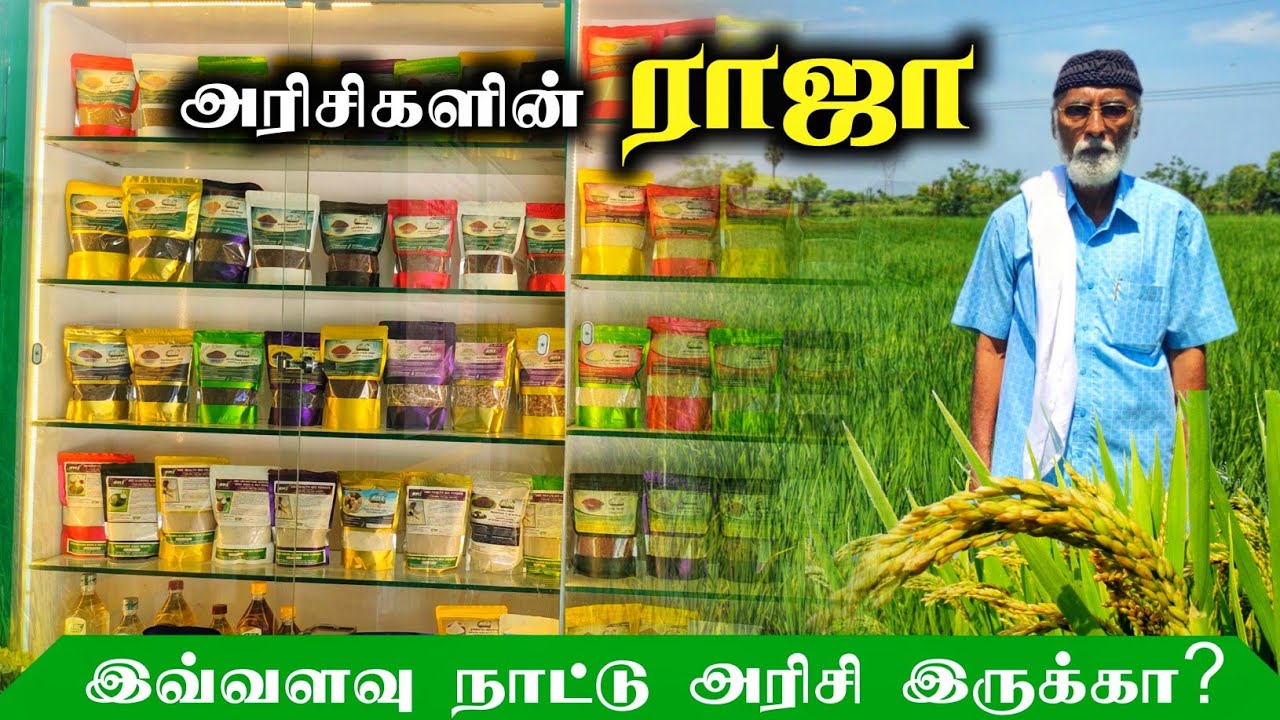 🌾அனைத்து நாட்டு அரிசி மற்றும் சிறுதானியங்கள் ஒரே இடத்தில்!
