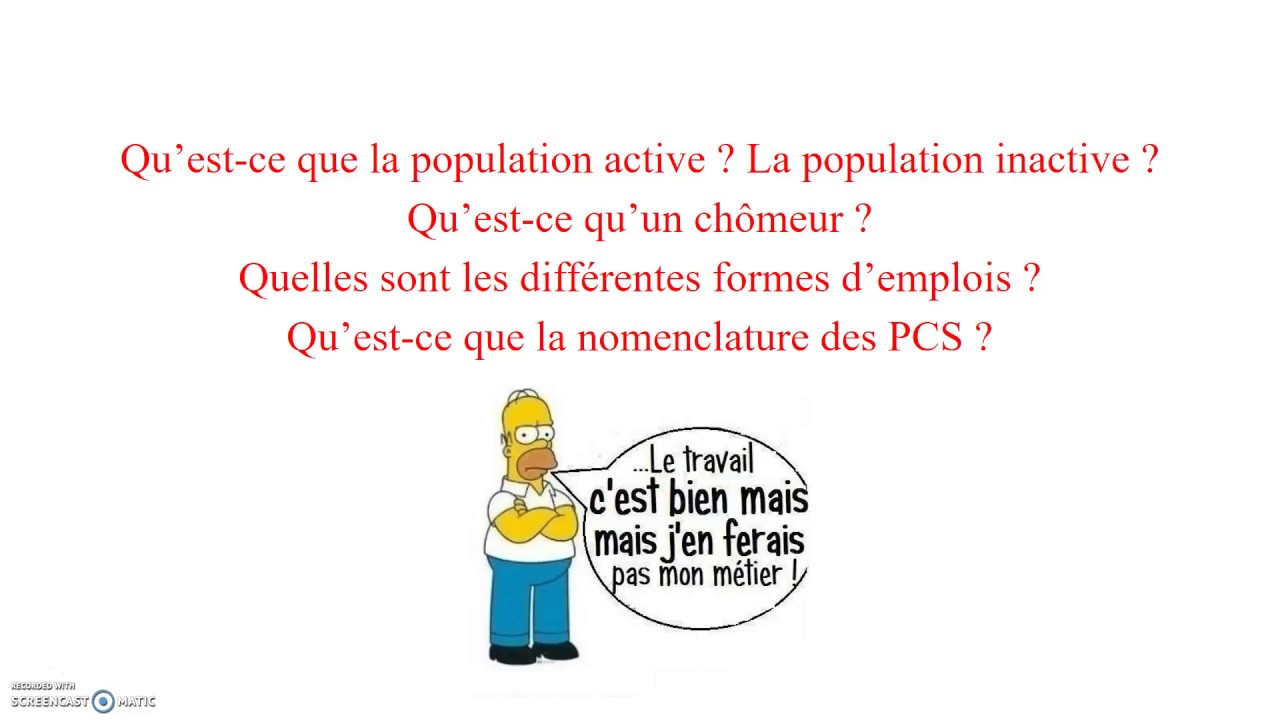 Population active et inactive / différentes formes d'emplois / les PCS