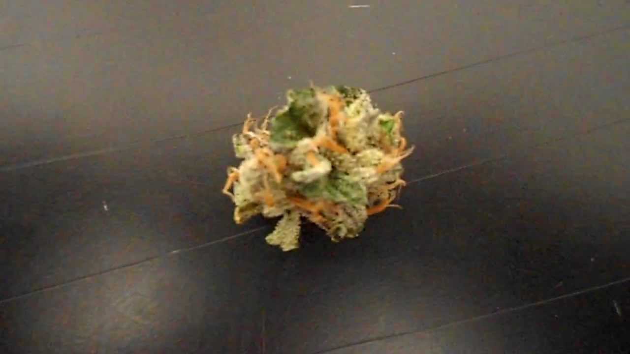 TRUE PRE-98 BUBBA KUSH