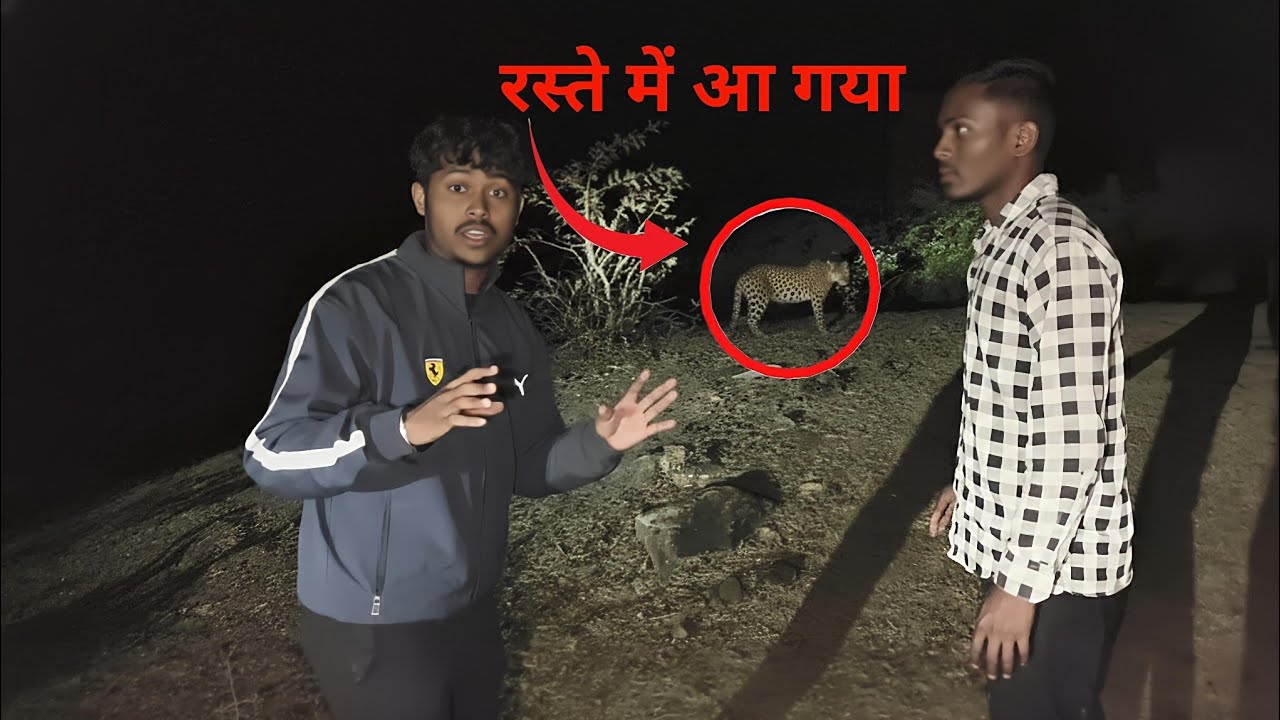Raat Ke Safar Mein Tendua Samne Aa Gaya 🐆 | Scary Moment | #tendua #leopard