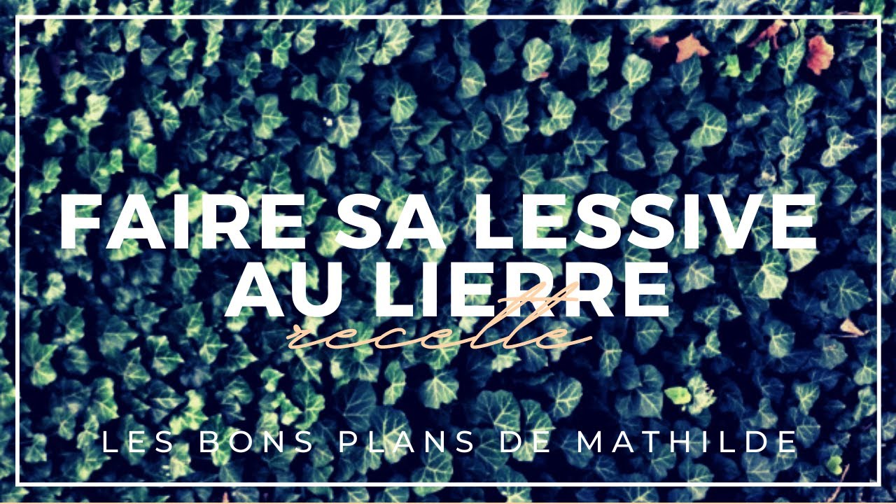 Lessive au lierre : recette compatible avec les couches lavables