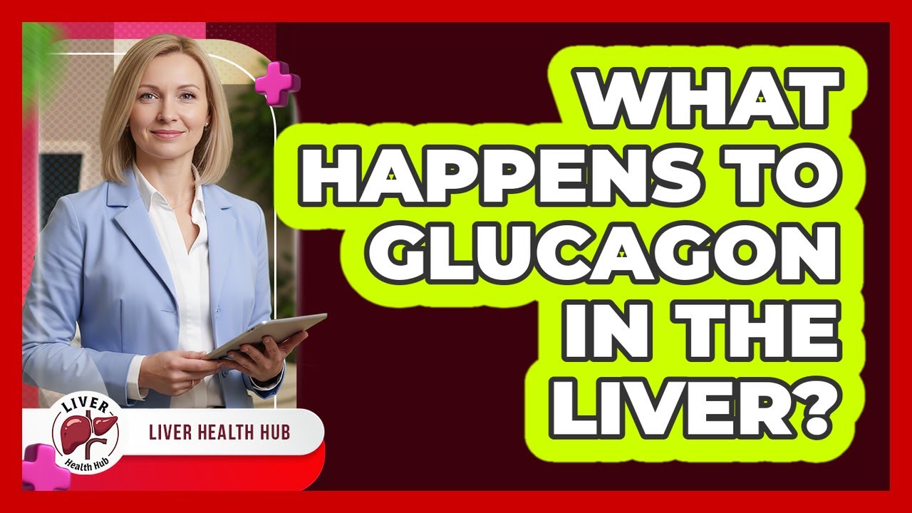 What Happens To Glucagon In The Liver?