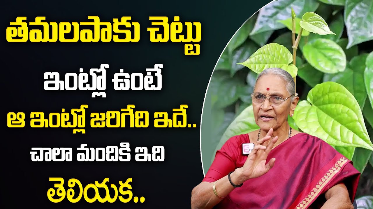 Anantha Lakshmi - తమలపాకు చెట్టు మీ ఇంట్లో ఉంటే ఏమౌతుందో తెలుసా ? || Dharmasandehalu || SumanTV