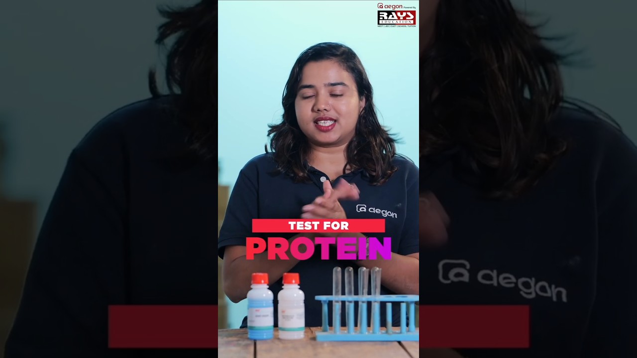 PLUS TWO BIOLOGY LAB- TEST FOR PROTEIN | RAYS EDUCATION