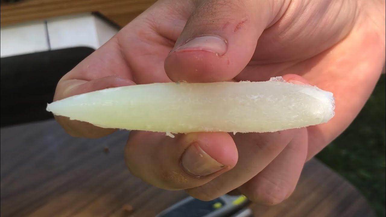 Will it Bullet?! Milk vs Oreos