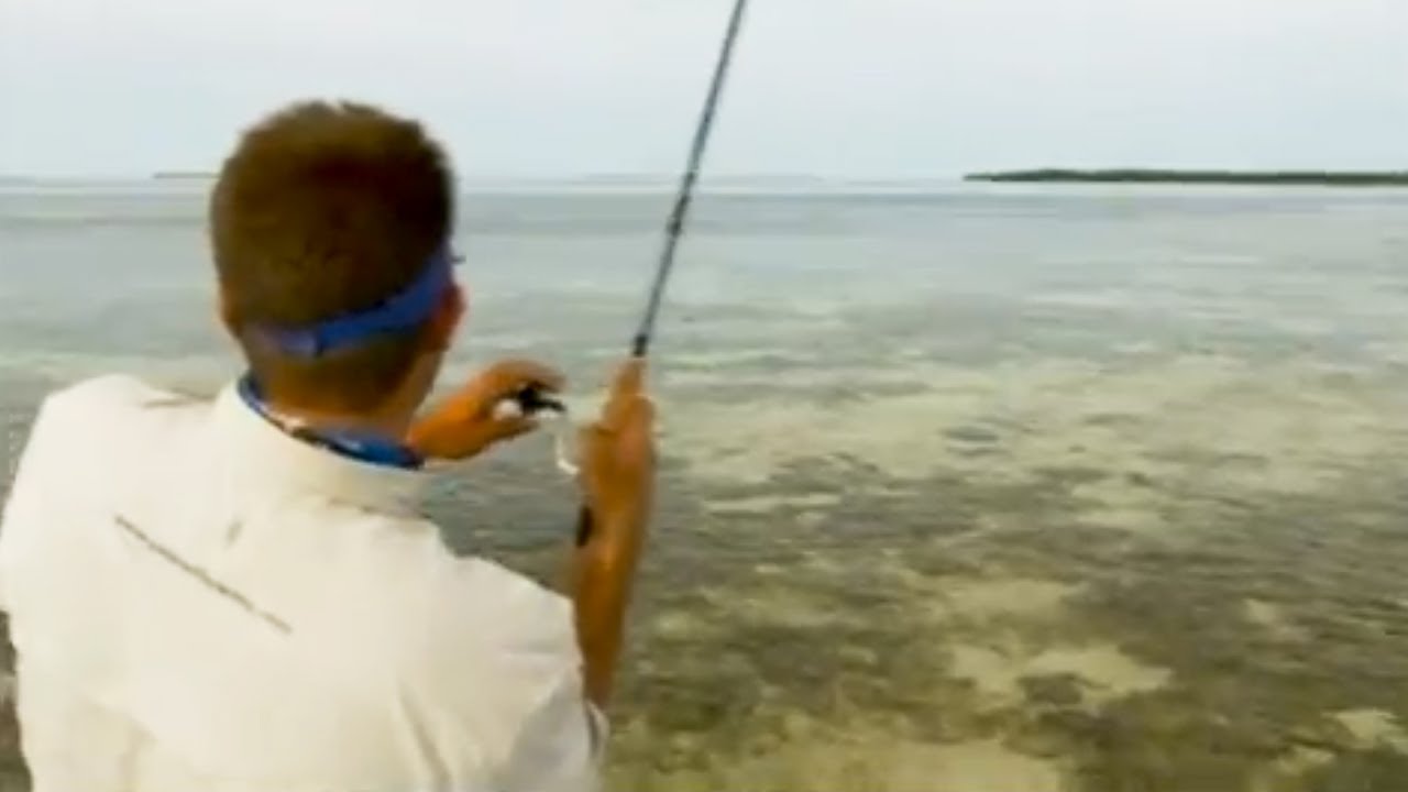 Saltwater Experience: 
