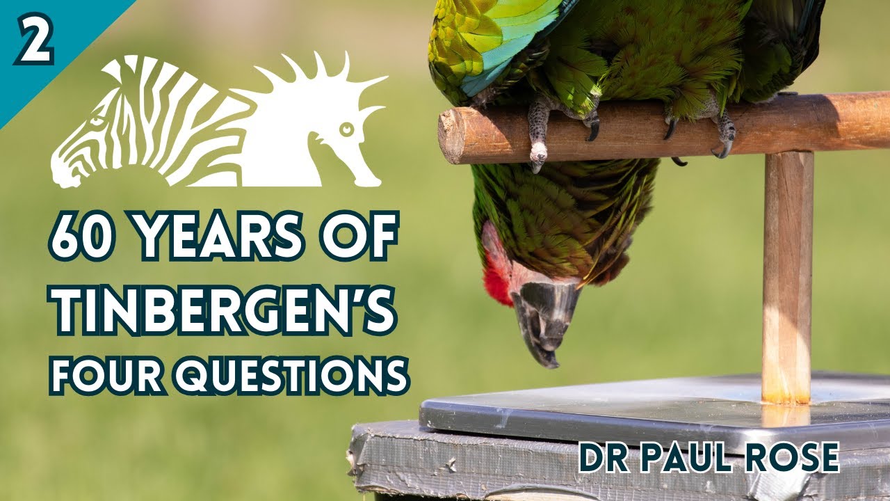 BIAZA Brings You...Dr Paul Rose | The Continued Relevance of Tinbergen's Four Questions to Zoos