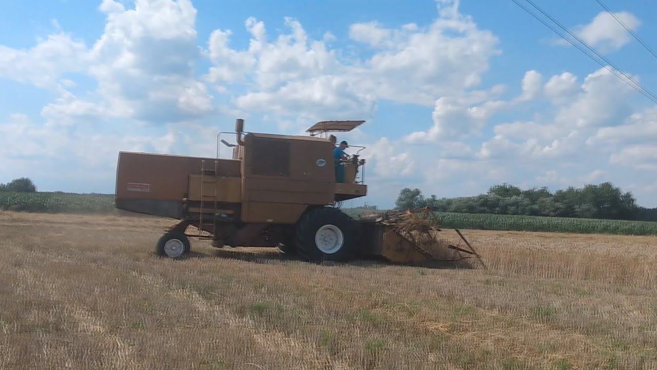 Żniwa na Kujawach 2020 - ,,Kombajn Bizon,, z056 SUPER - Ryk silnika!