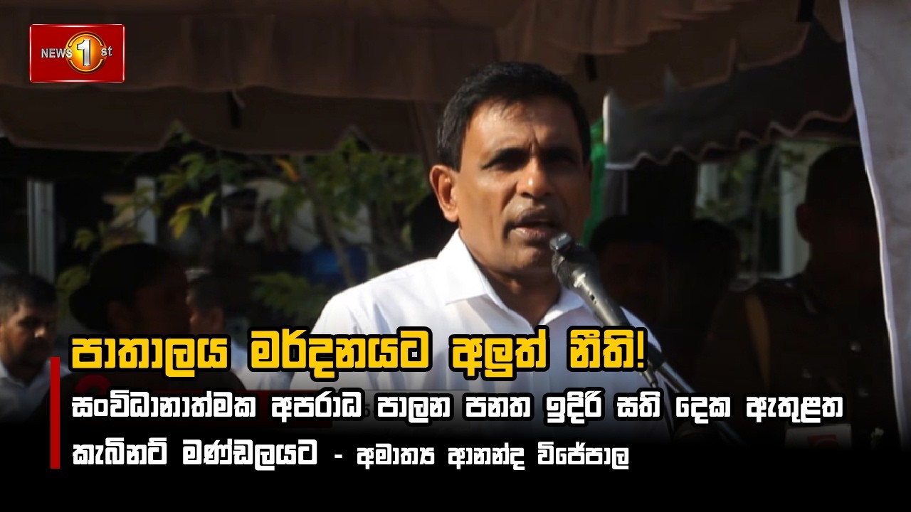 පාතාලය මර්දනයට අලුත් නීති!