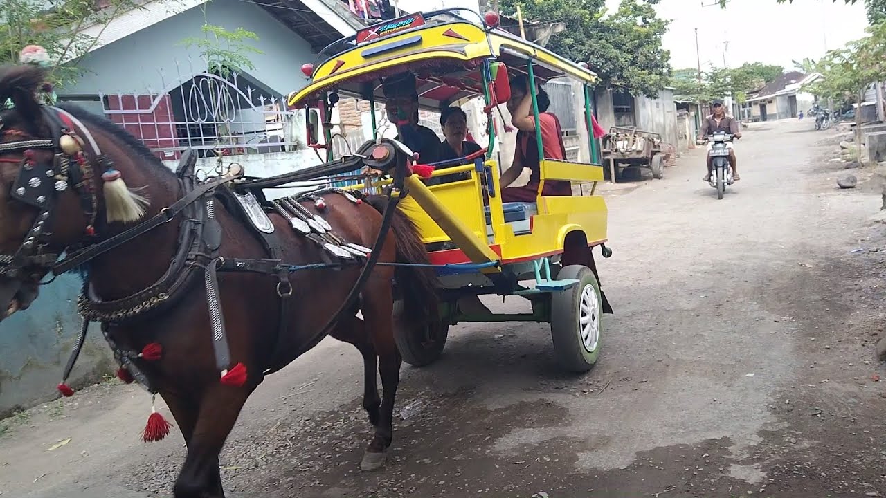##becak Lombok timur, kuda delman ala pasar, angkutan sederhana