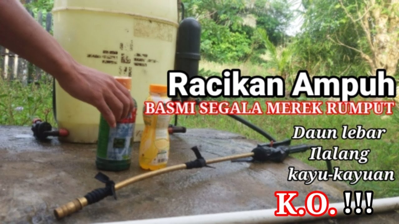 Jarang yg tahu,,Cara Meracik Racun Pembasmi Gulma AMPUH Agar Tidak Tumbuh Lagi hingga berbulan-bulan