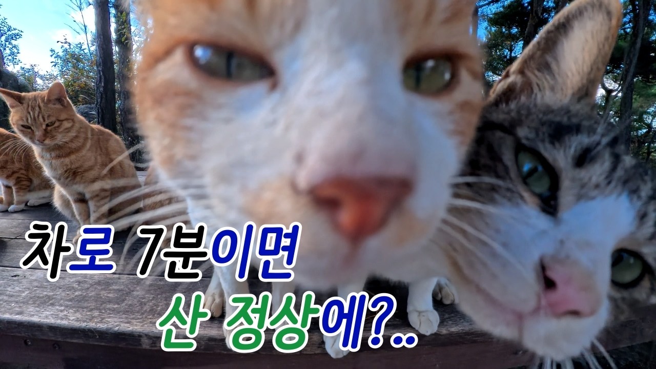 백월산 ( with. 용봉산 ) 편