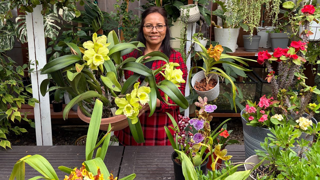 Les muestro las floraciones de mi jardín en invierno usando Rainpoint. @RainPoint